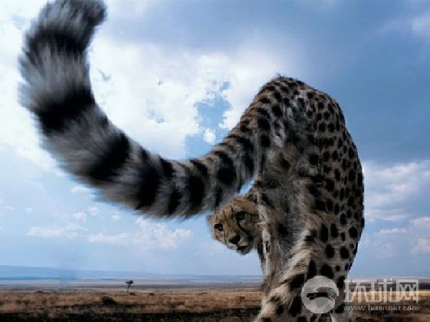 18, 斑马军团防线重组初见成效  